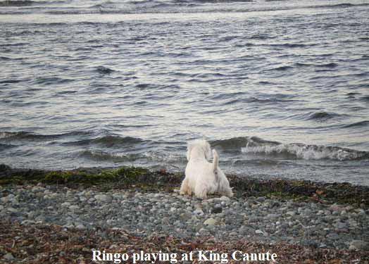 RingoHolidays 2011 007