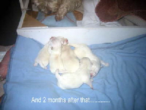 2m0nths after 2m0nths after