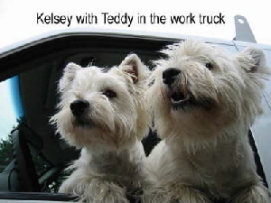 KelseyTeddy1 KelseyTeddy1