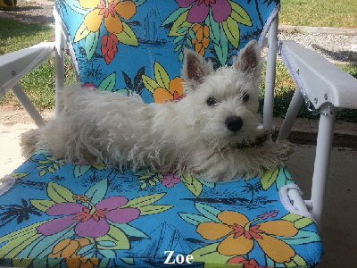 Zoe