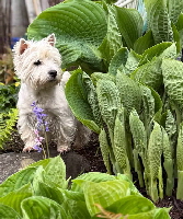 494688422_1206240564306927_2384926438683326013_n