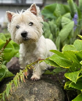 494691555_1100508488586243_6268046902483108957_n