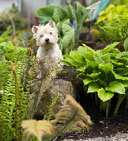 494819104_2171225130009673_6072707104431636325_n