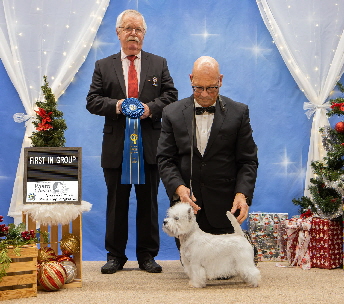 55742ac6-d6ea-41f6-b083-df0b5e8f7603