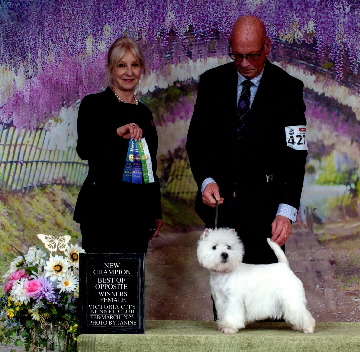 c4960a65-3be3-48f0-bd64-953b8fecc0e5